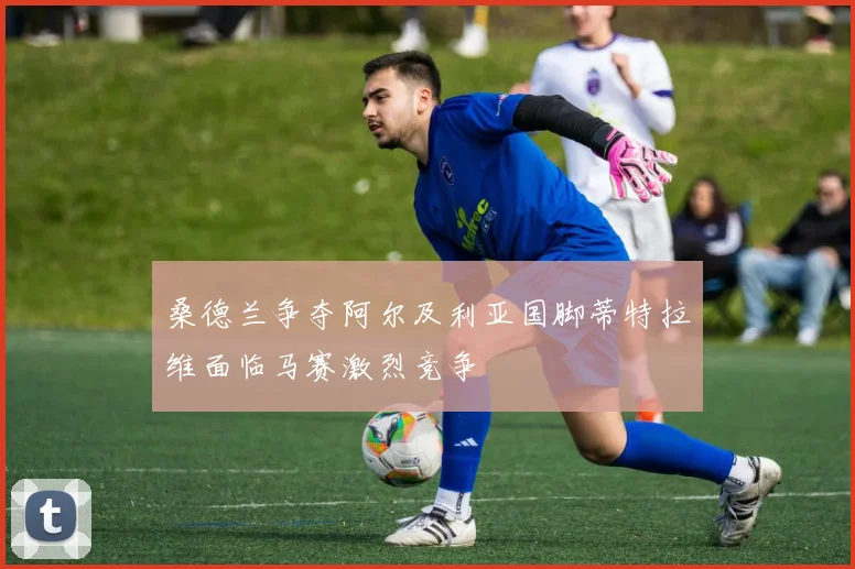 桑德兰争夺阿尔及利亚国脚蒂特拉维面临马赛激烈竞争