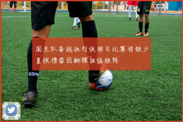 国王队备战独行侠明日比赛将缺少基根穆雷因脚踝扭伤缺阵
