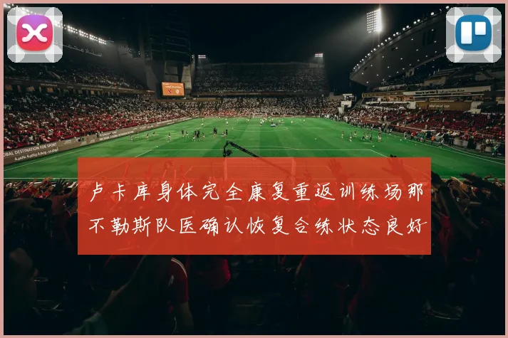 卢卡库身体完全康复重返训练场那不勒斯队医确认恢复合练状态良好