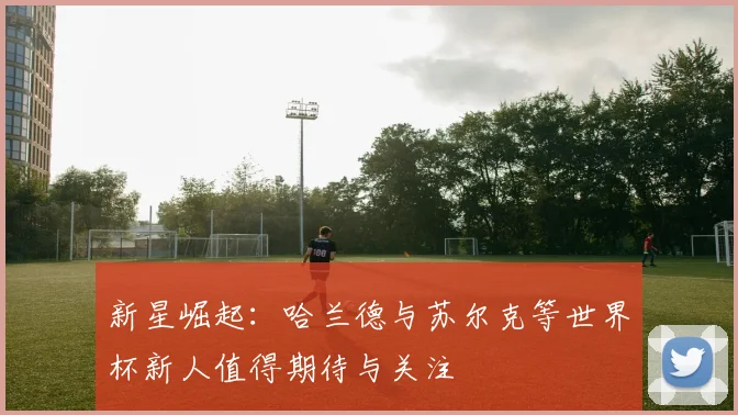 新星崛起：哈兰德与苏尔克等世界杯新人值得期待与关注